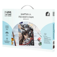 Картина по номерам Три совы Воительница КХ_44138
