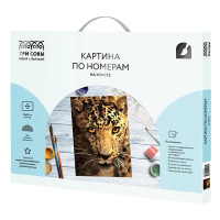 Картина по номерам Три совы Взгляд охотника КХ_44156