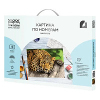 Картина по номерам Три совы Загадочный взгляд КХ_44084