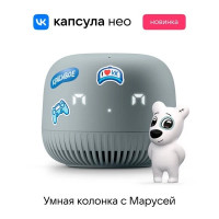 Умная колонка VK Капсула Нео (серый)