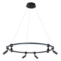 Подвесная люстра Arte Lamp Ring A2186SP-1BK