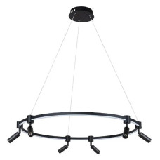 Подвесная люстра Arte Lamp Ring A2186SP-1BK