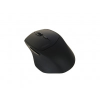 Мышь Rapoo MT550