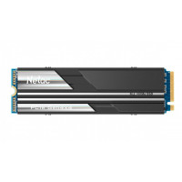 SSD Netac NV5000 2TB NT01NV5000-2T0-E4X