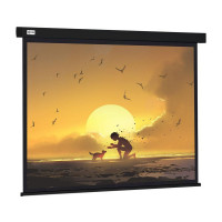 Проекционный экран CACTUS Wallscreen 150x150 CS-PSW-150X150-BK