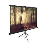 Проекционный экран CACTUS TriExpert 180x135 CS-PSTE-180х135-BK