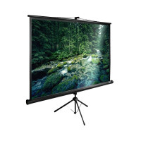 Проекционный экран CACTUS TriExpert 220x165 CS-PSTE-220х165-BK