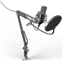 Микрофон Ritmix RDM-169
