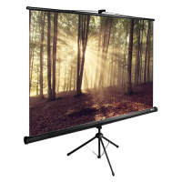 Проекционный экран CACTUS TriExpert 135x180 CS-PSTE-180X135-BK