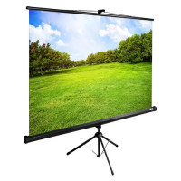 Проекционный экран CACTUS TriExpert 150x200 CS-PSTE-200X150-BK