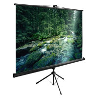 Проекционный экран CACTUS TriExpert 165x220 CS-PSTE-220X165-BK