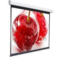 Проекционный экран Digis Electra-F 248x249 DSEF-1108