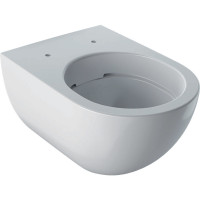 Унитаз Geberit Acanto 500.600.01.2