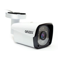 IP-камера Ginzzu HIB-5301A